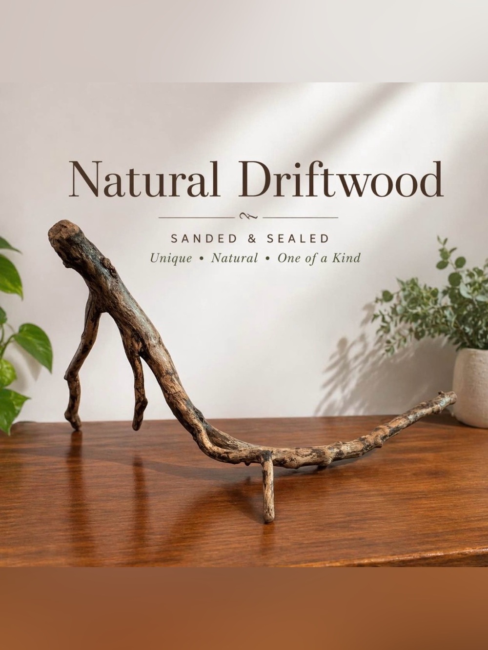 Large Natural Driftwood – Sanded & Sealed Statement Piece 28"x 12"